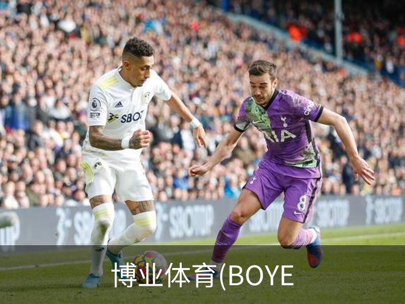 博业体育(BOYE简介